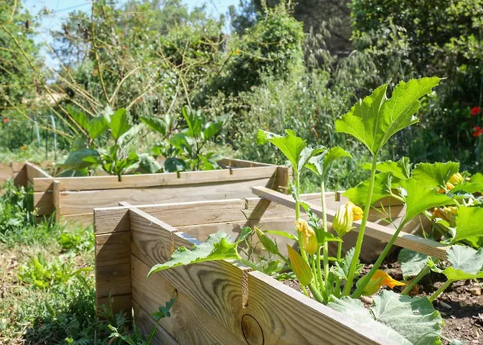 Maison d'hôtes L'espigoulié