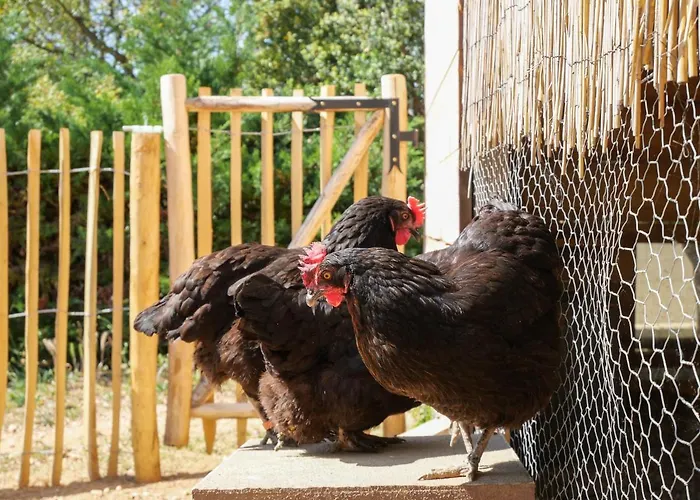 Maison d'hôtes L'espigoulié