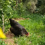 L'espigoulie Bed and Breakfast 4*
