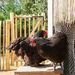 Bed and Breakfast L'espigoulie