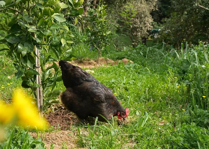 L'espigoulie Gasthuis *